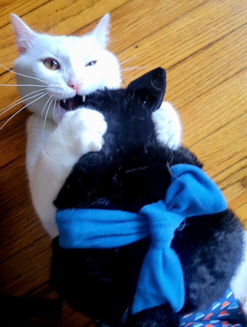 Intérieur nylon dense Catsumo, structure robuste pour sessions intenses.