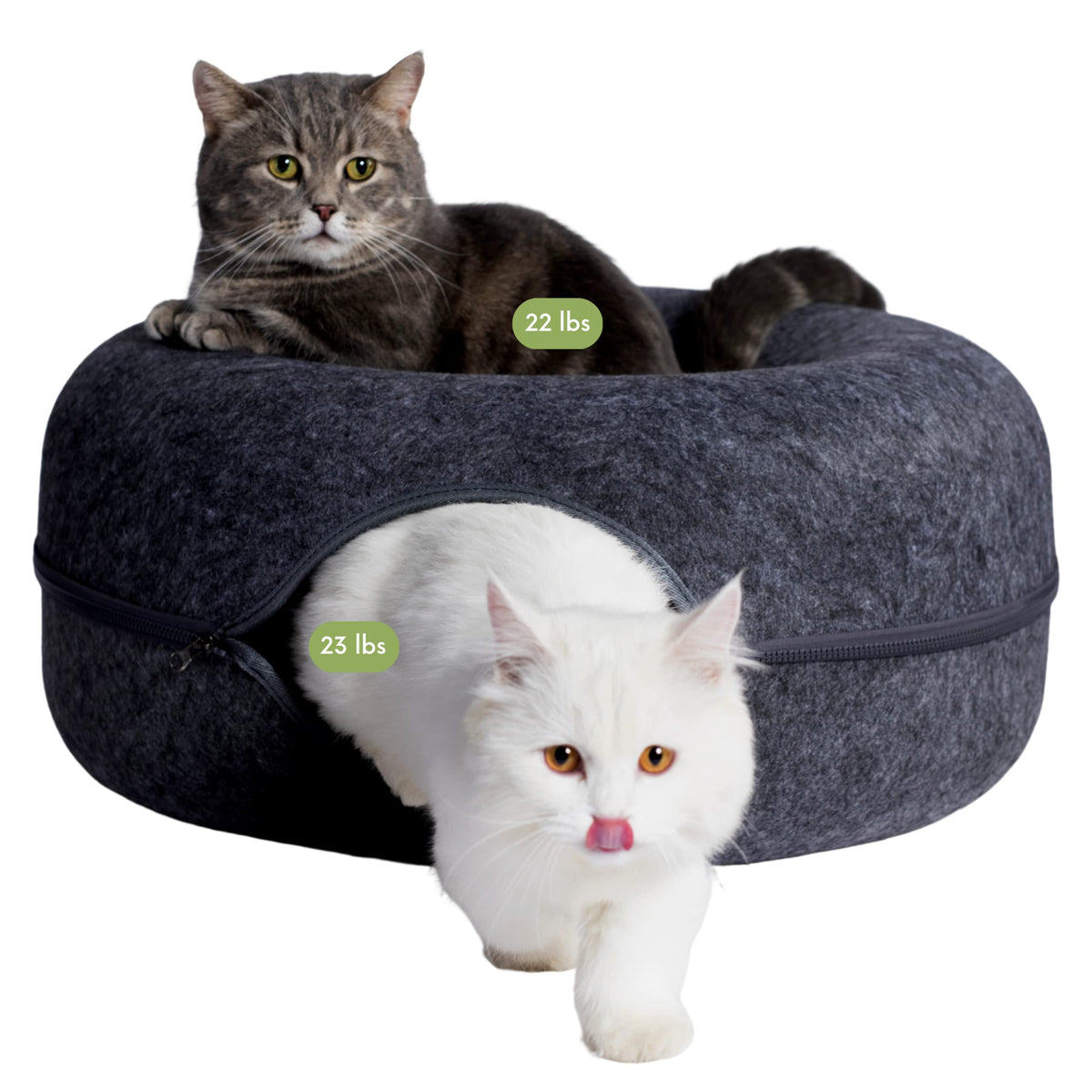 Cattasaurus Peekaboo cache-chat en forme de beignet gris foncé grand, lit douillet pour chats