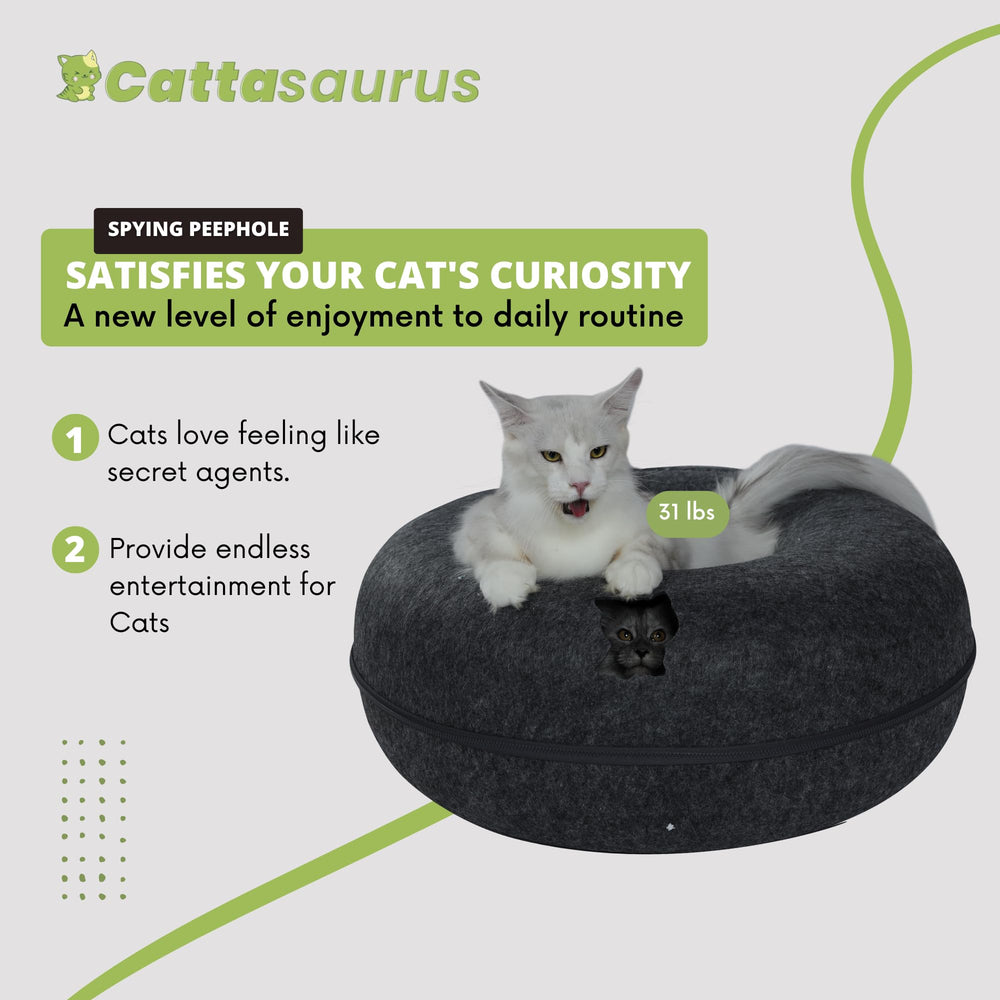 Cattasaurus Peekaboo: cabane pour chats jusqu'à 45 lb, espace généreux.