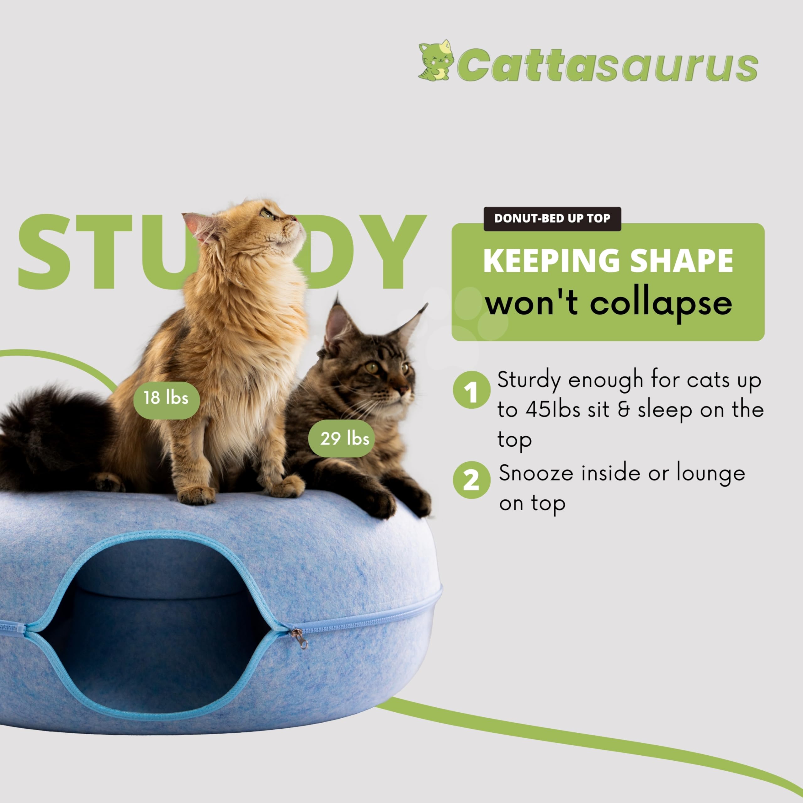 Cattasaurus Peekaboo; tunnel bleu jumbo pour exploration et détente sécurisée.