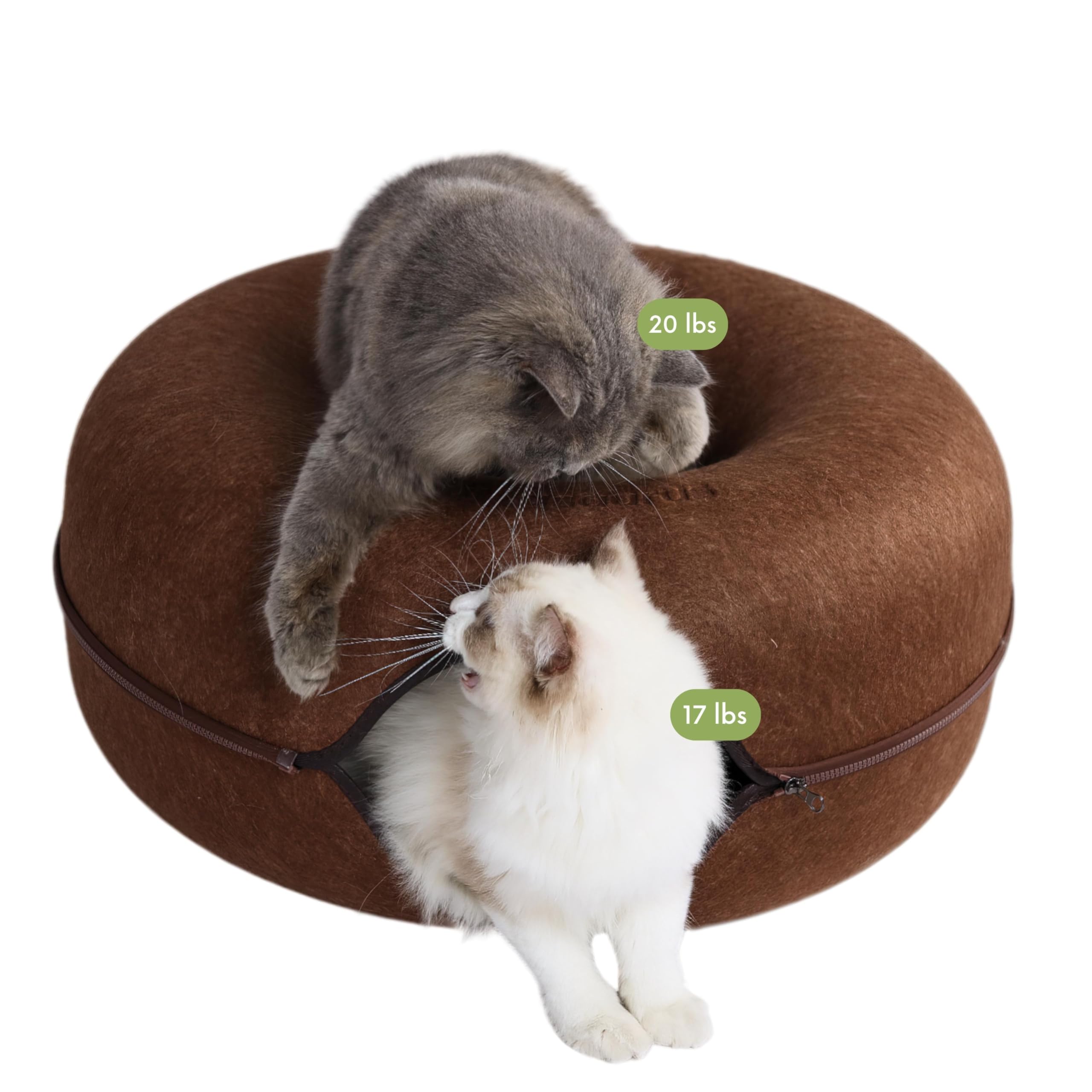 Cattasaurus Peekaboo donut ouvert: refuge douillet pour chats et petits chiens.