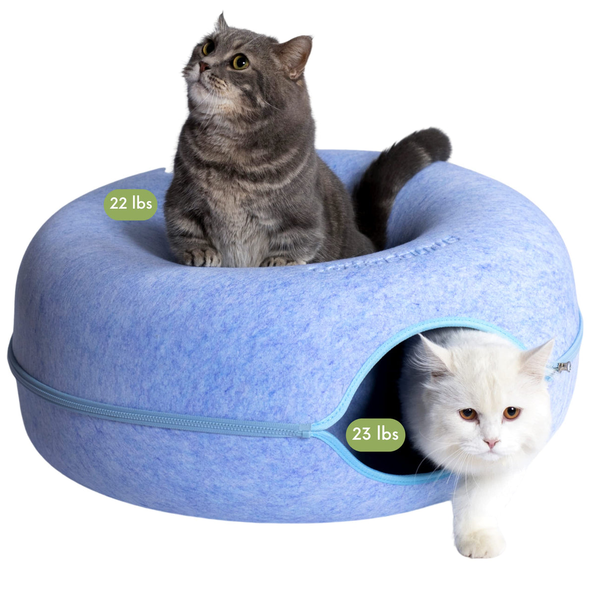 Cattasaurus Peekaboo, cavité chat donut bleu, repos douillet et sûr