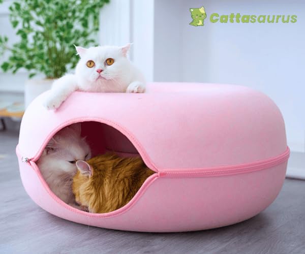 Cattasaurus Peekaboo grande-largeur: idéal pour plusieurs chats