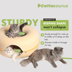 Cattasaurus Peekaboo nid-beignet bleu pastel, espace reposant pour chats