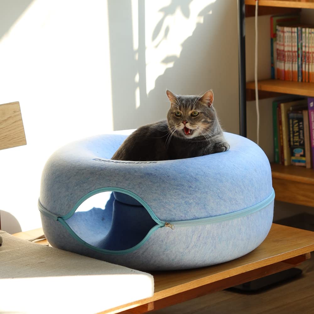 Cattasaurus Peekaboo, coloris gris foncé pour intérieur élégant