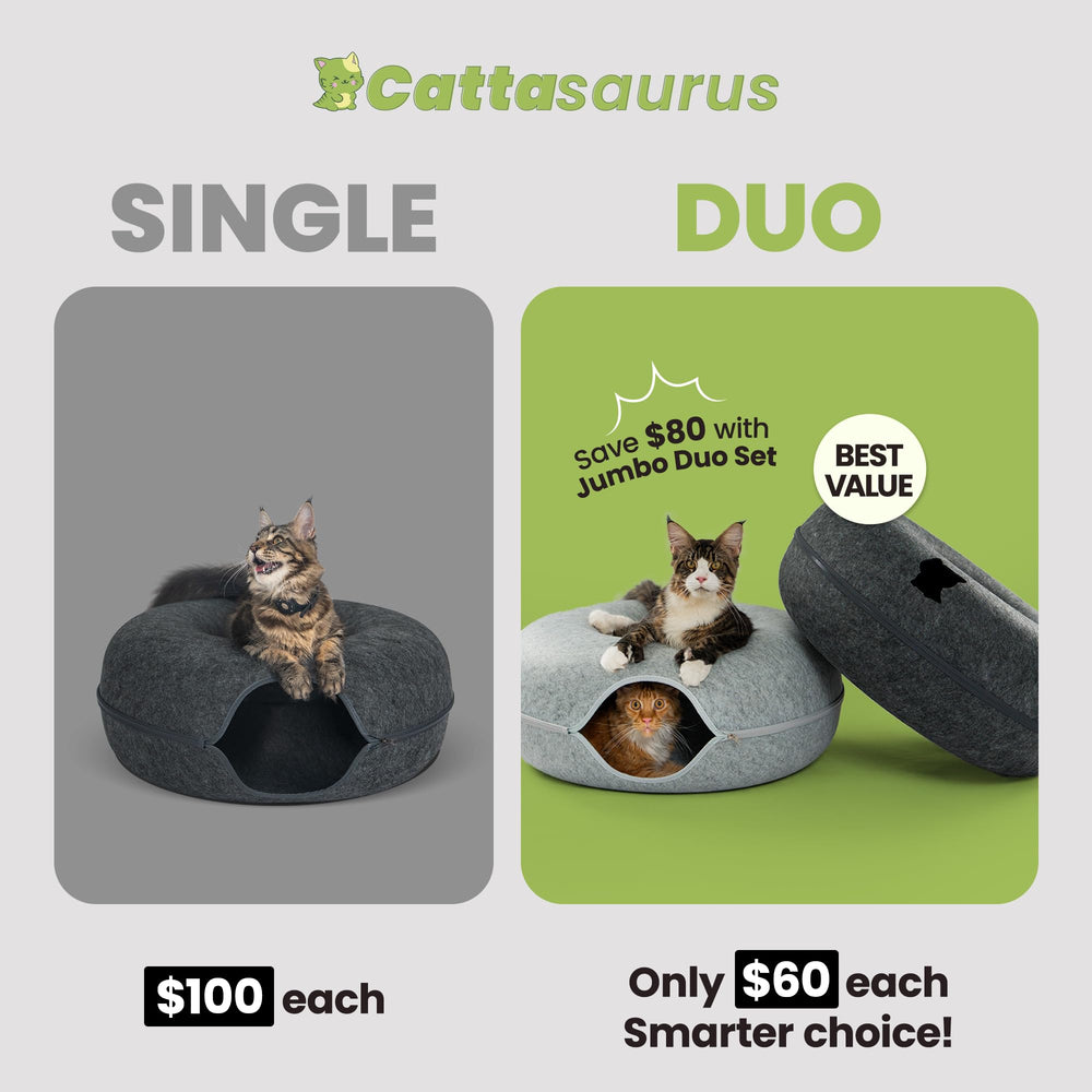Cattasaurus Peekaboo: double-confort visible, deux refuges pour plusieurs chats.