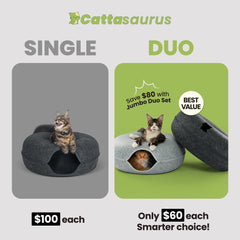 Cattasaurus Peekaboo: double-confort visible, deux refuges pour plusieurs chats.