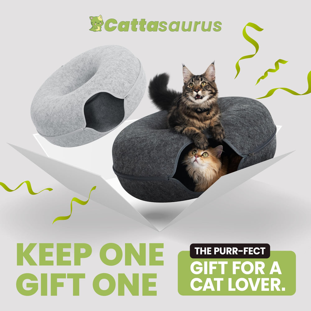 Cattasaurus Peekaboo: fenêtres intégrées visibles, invitation à l'exploration sécurisée.