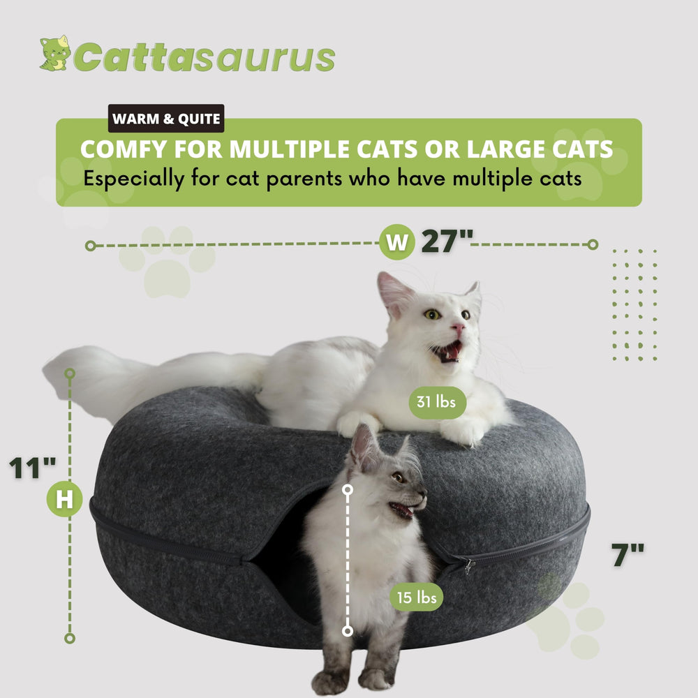 Cattasaurus Peekaboo: adapté aux grands chats jusqu'à 20 kg.