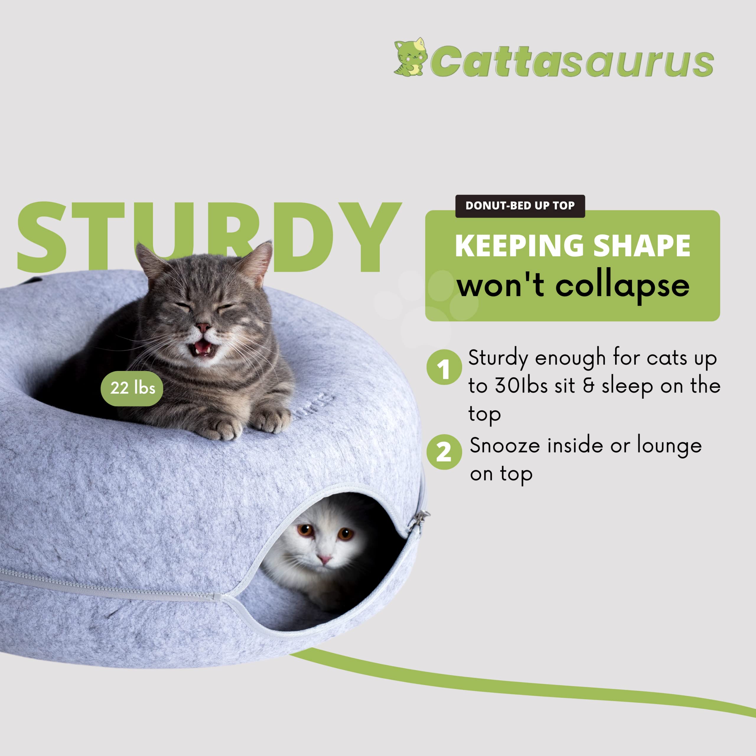 Cattasaurus Peekaboo-hublot-chat: fenêtre mini pour interaction ludique et observation.