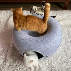 Cattasaurus Peekaboo-matelas-feutre-résistant: matériau durable qui garde sa forme.
