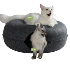 Cattasaurus Peekaboo: nid-chat-donut en haut, confort enveloppant pour grands chats.