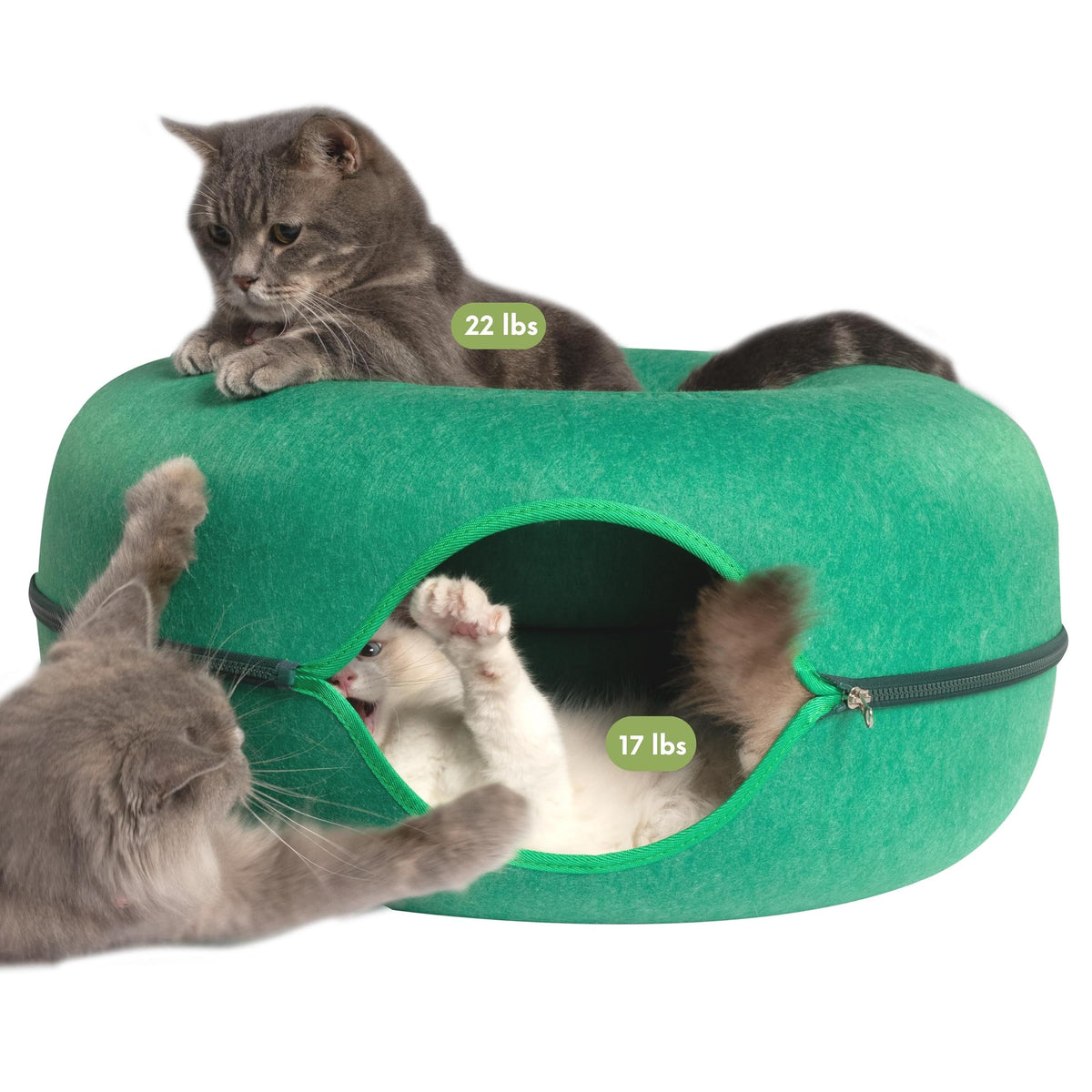 Cattasaurus Peekaboo ouverture du donut pour exploration et repos