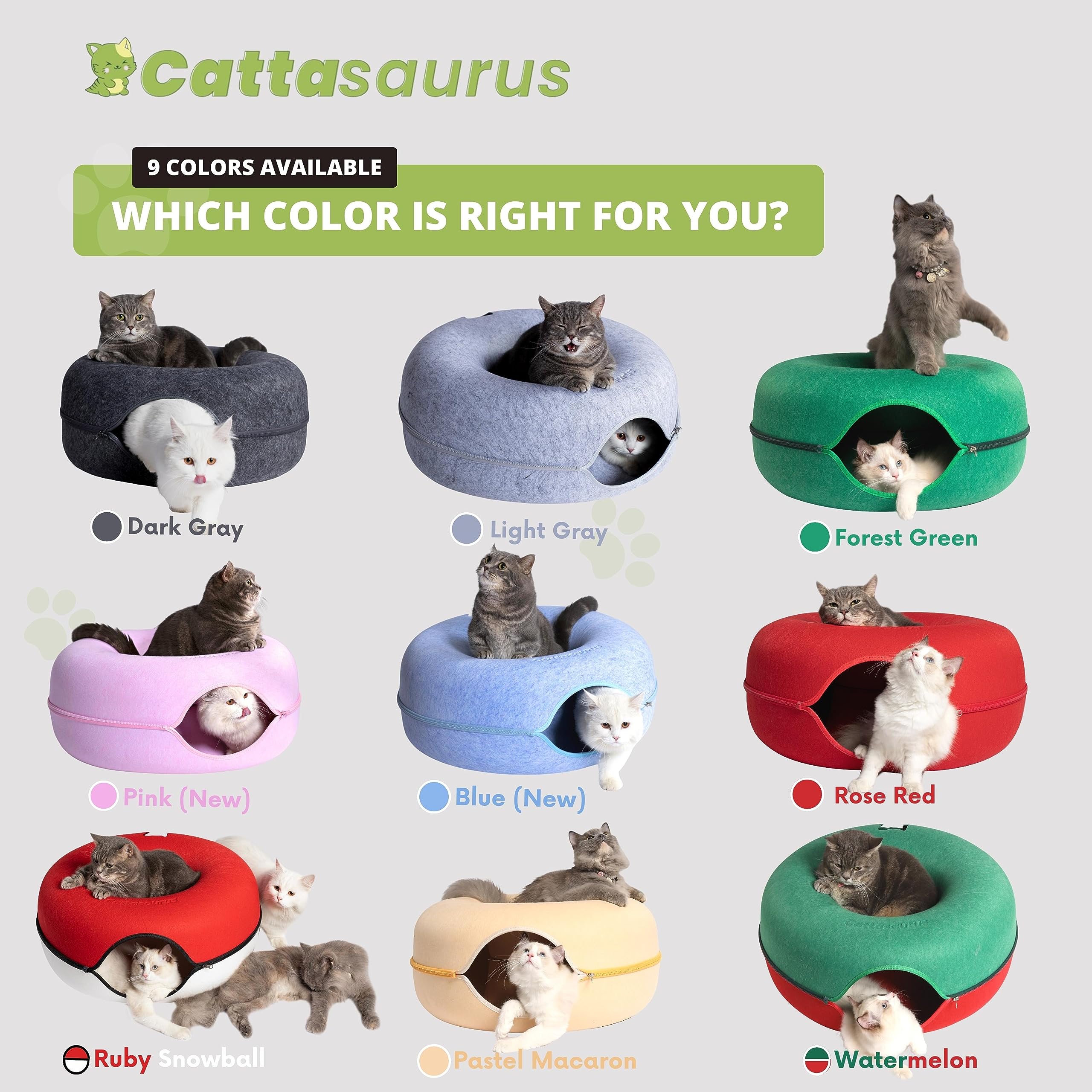 Cattasaurus Peekaboo espace privé et rangement pratique pour animaux