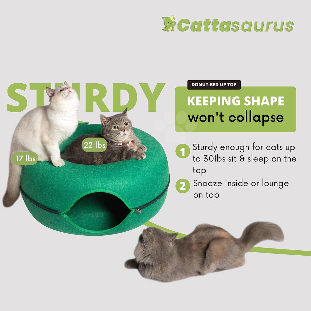 Cattasaurus Peekaboo tunnel intérieur pour jeux et détente sécurisés