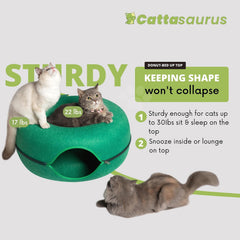 Cattasaurus Peekaboo tunnel intérieur pour jeux et détente sécurisés