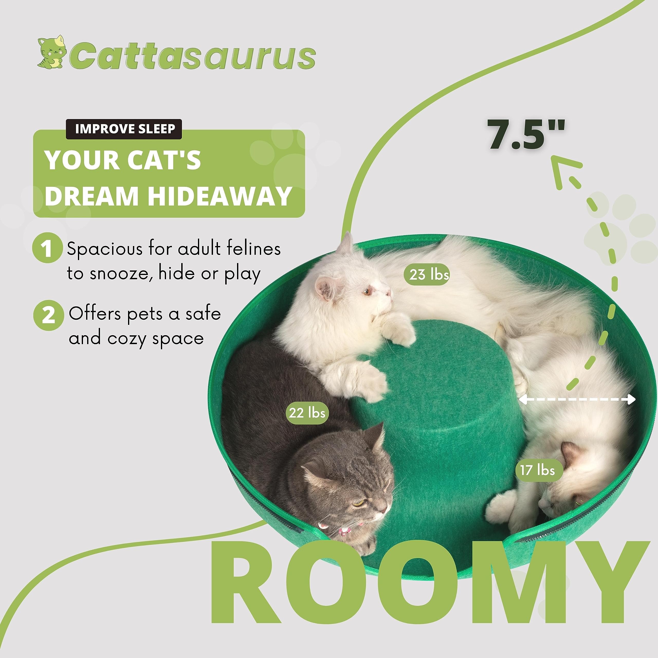 Cattasaurus Peekaboo coloris vert forêt sur fond neutre