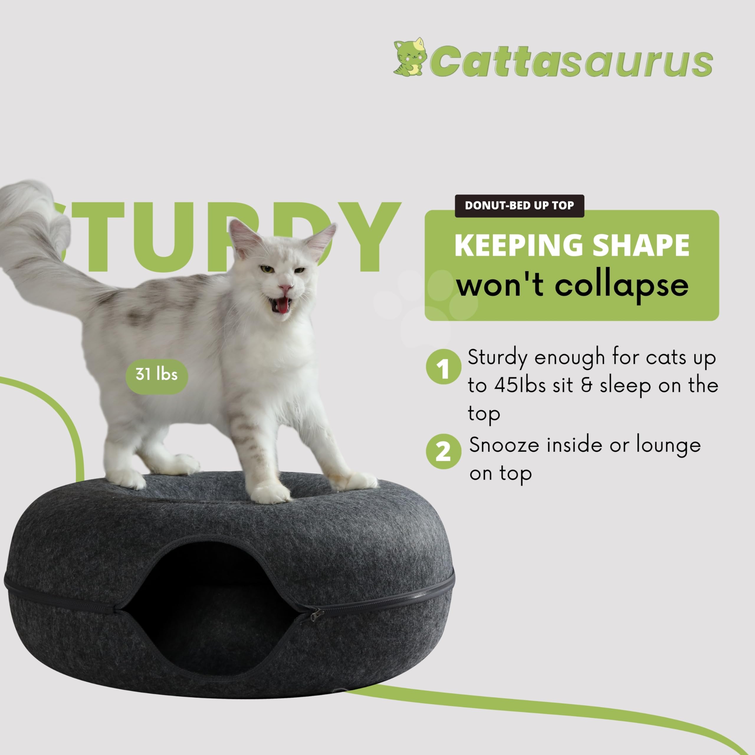 Cattasaurus Peekaboo: tunnel-chat-bas, espace spacieux pour exploration et jeu.