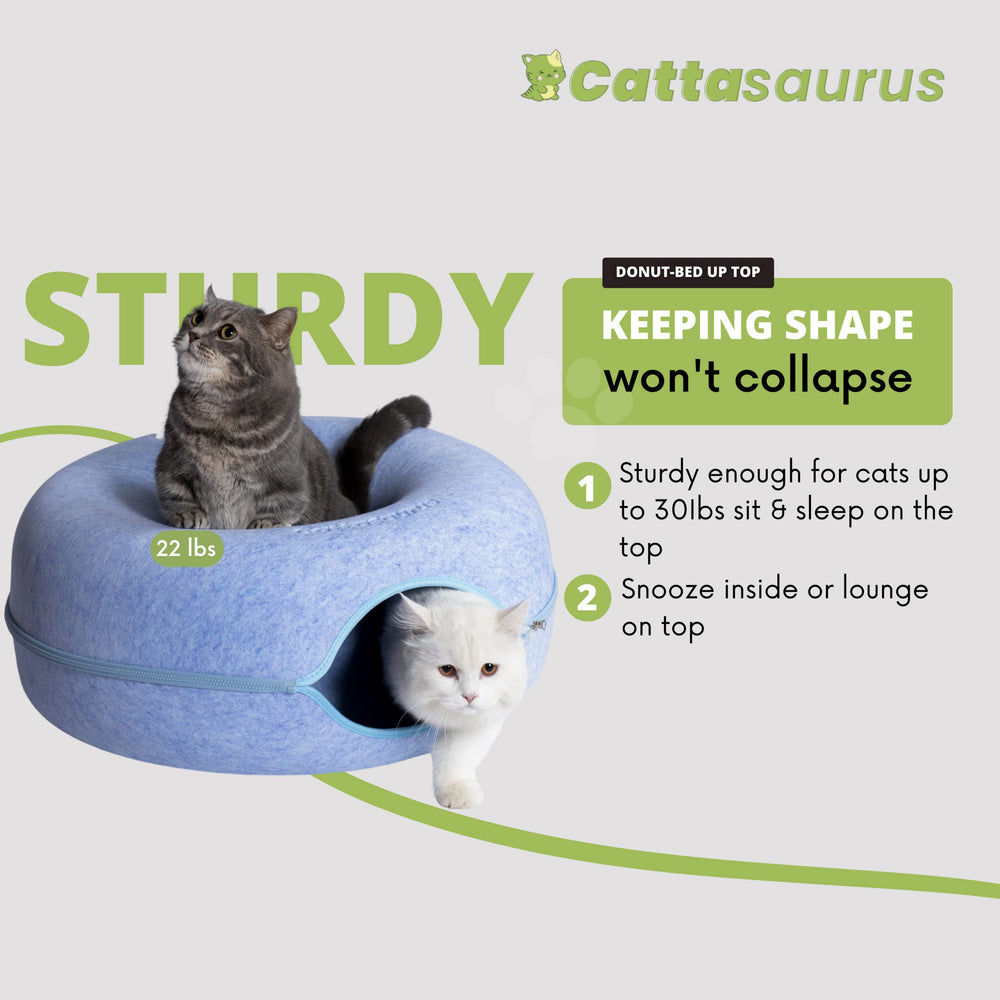 Cattasaurus Peekaboo, tunnel chat bleu pour jeu et exploration