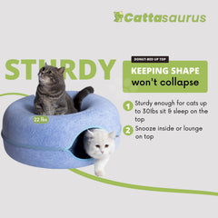 Cattasaurus Peekaboo, tunnel chat bleu pour jeu et exploration
