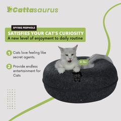 Cattasaurus Peekaboo: tunnel détachable, nettoyage facilité pour le chat.