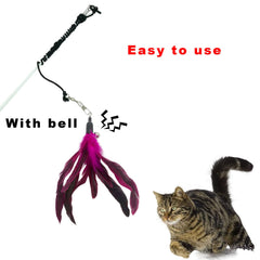 CATENESS ensemble 10 plumes: jeu interactif