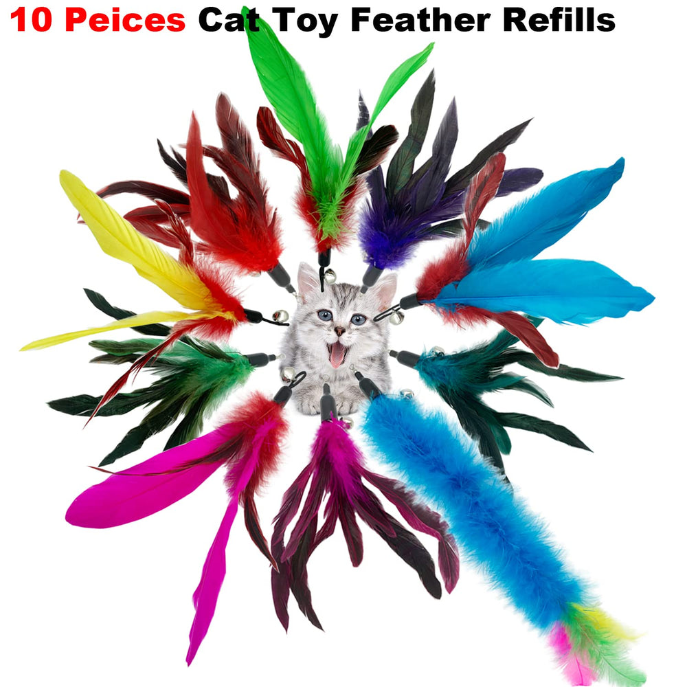 CATENESS plumes compatibles tige: installation facile