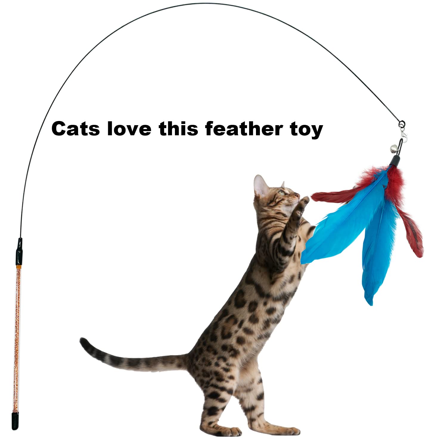 CATENESS plumes pour jouet intérieur: stimulation ludique
