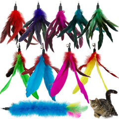 CATENESS refils plumes chat: lot de 10 pour prolonger le jeu