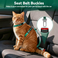 Harnais Cattooll anti-évasion pour une sécurité renforcée lors des sorties.