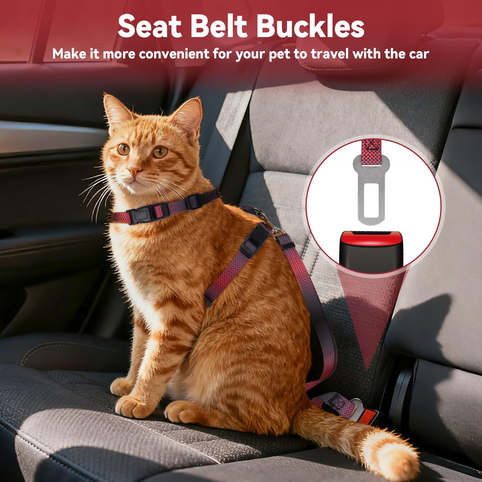 Cattooll harnais-chat réglable pour toutes tailles, ajustement simple.