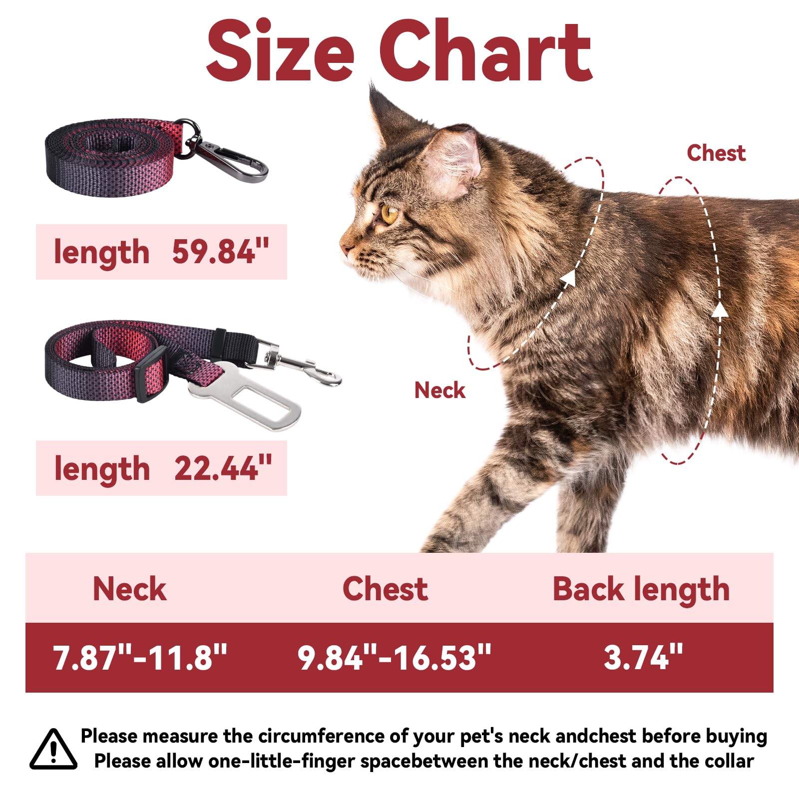 Cattooll harnais-chat taille ajustable pour petits et grands chats.