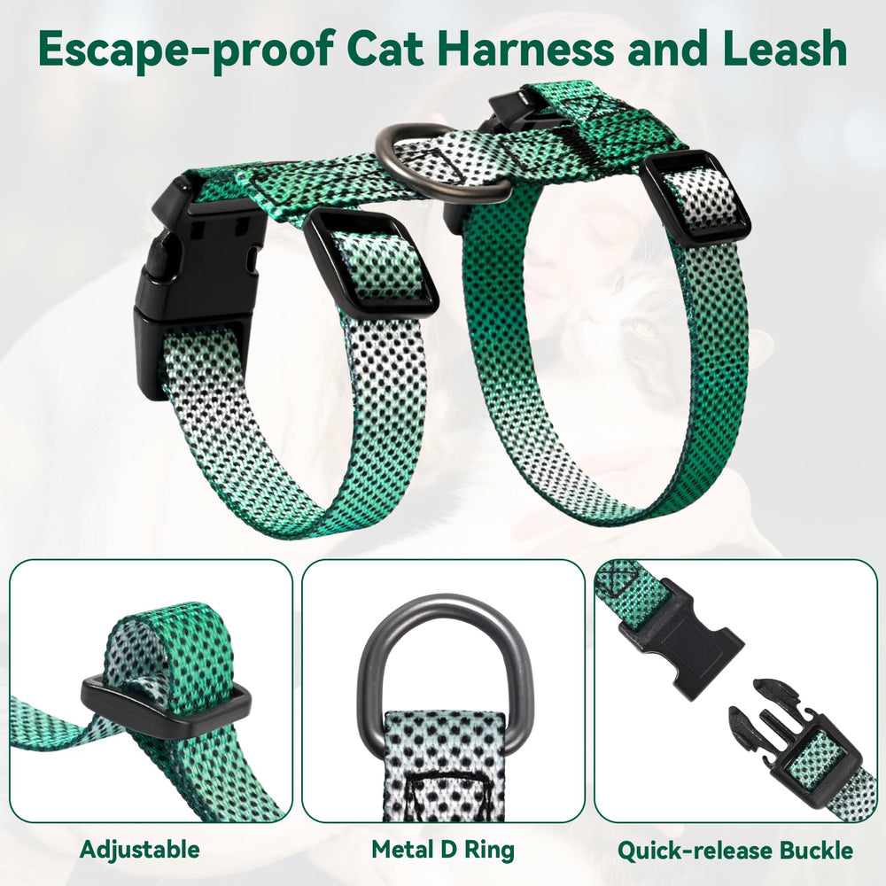 Laisse Cattooll 3-en-1, pratique et polyvalente pour promenades.