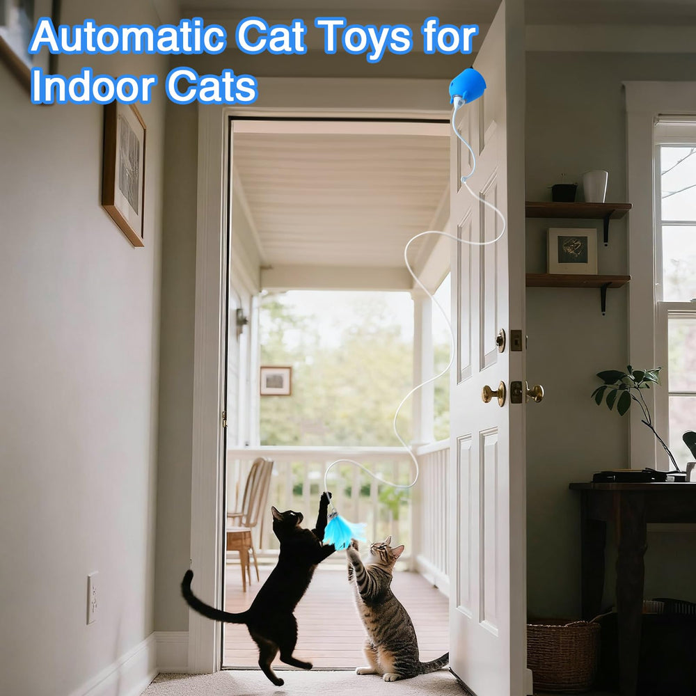 Mode plumes bleu: variations de jeu pour chat curieux.