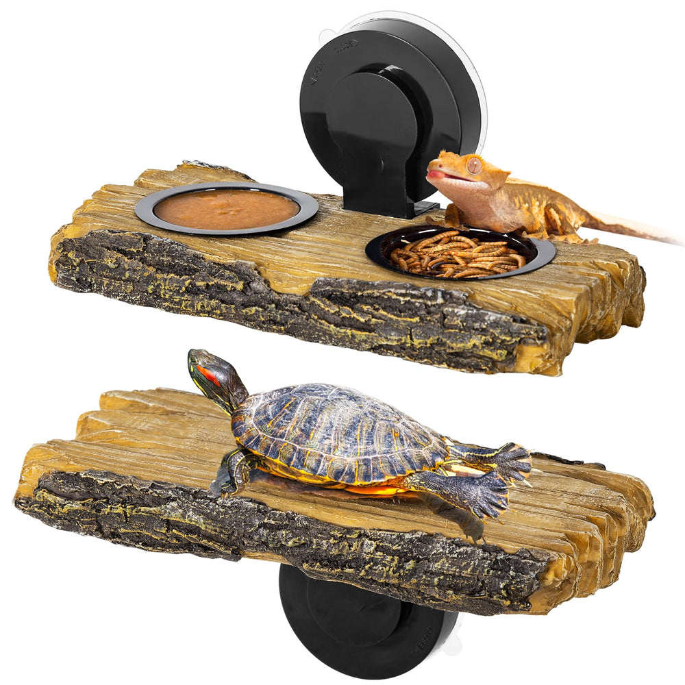 CAVACHEW 2 en 1: plateforme d'alimentation et perchoir pour reptiles et tortues.