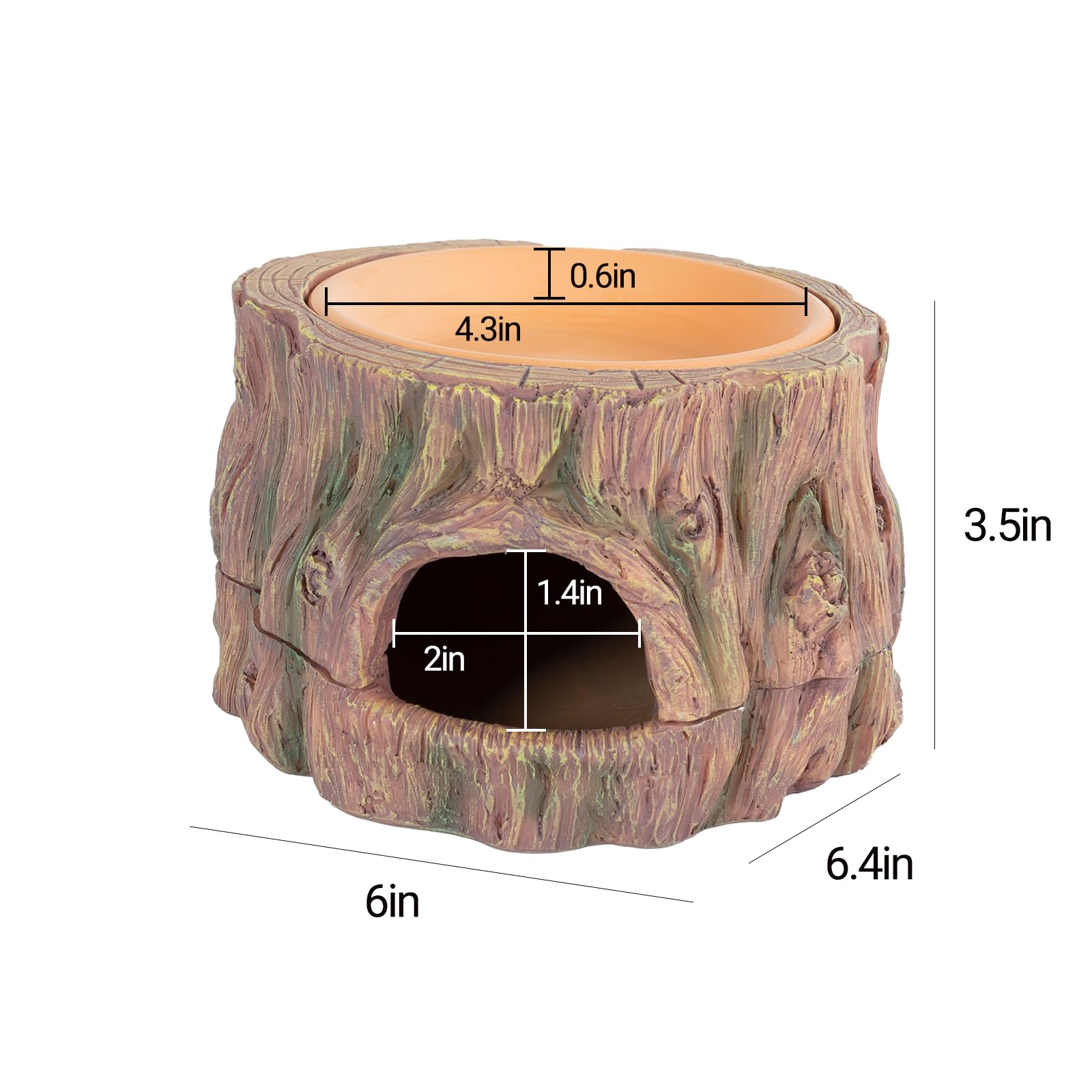 CAVACHEW accessoire-terarium: design sûr et réaliste