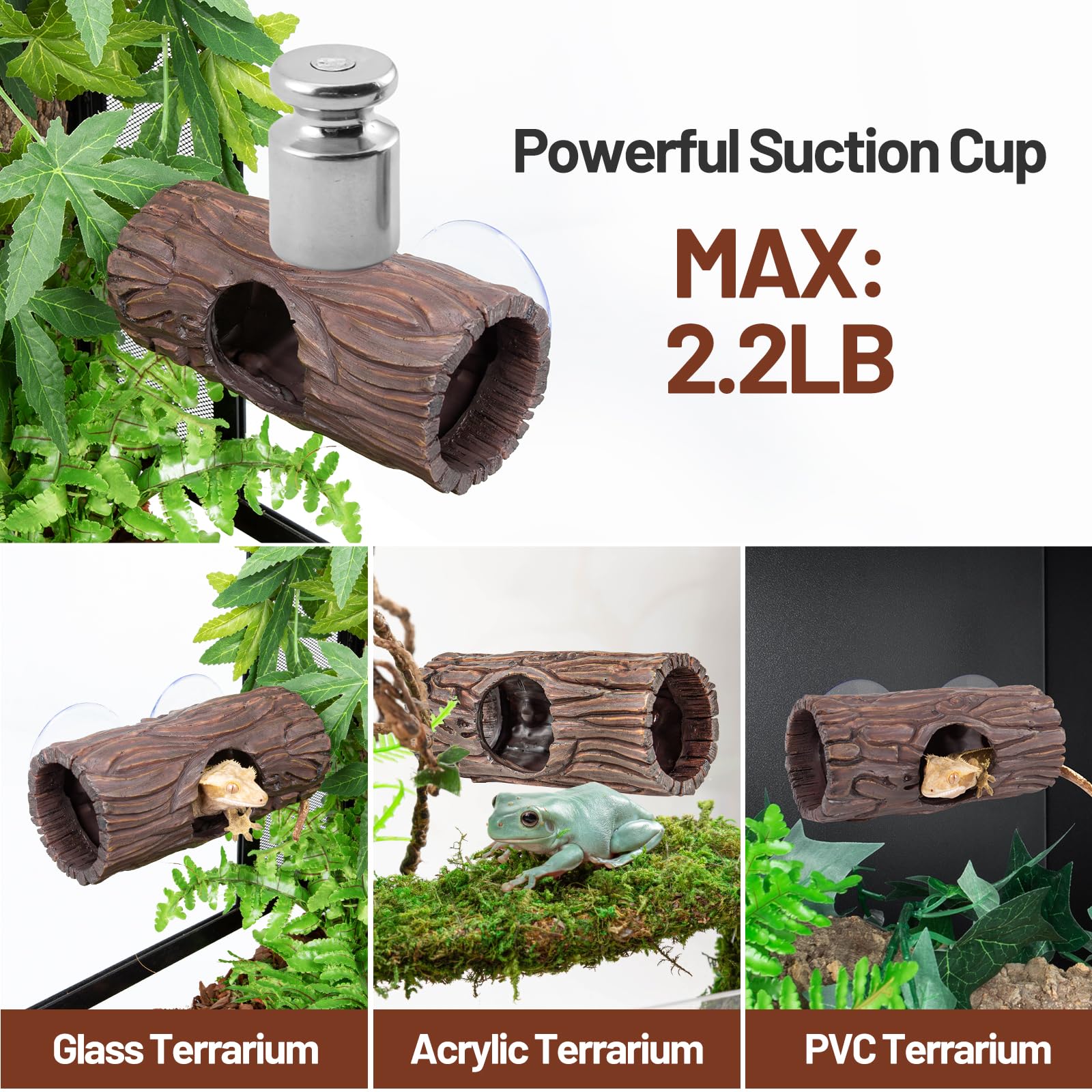 Décor terrarium CAVACHEW, cachette naturelle pour repos et bien-être.