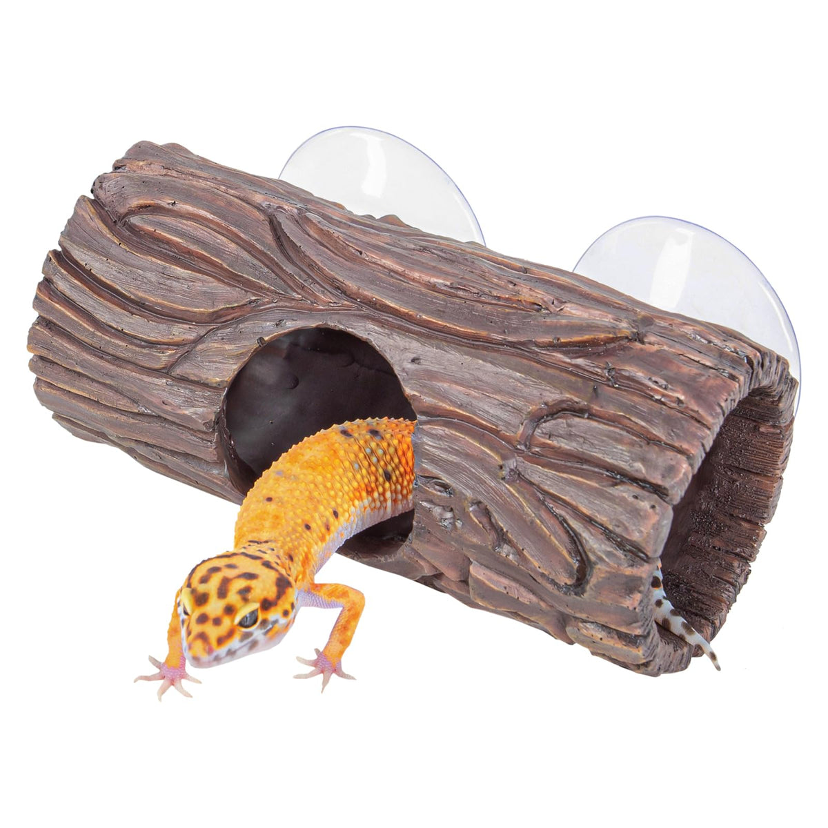 Cachette Reptile CAVACHEW en résine creuse avec ventouses pour grimper sur verre.