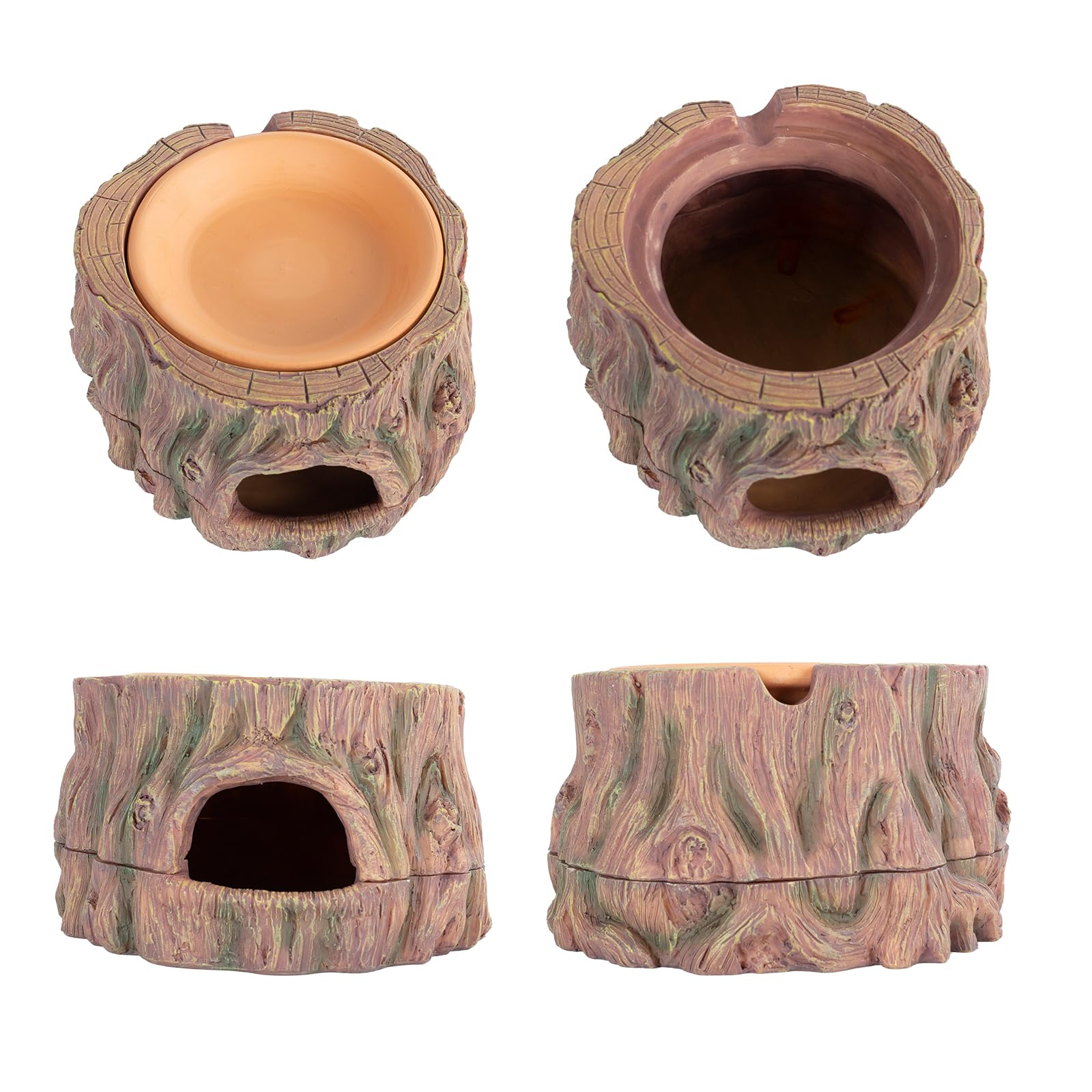 CAVACHEW caverne-realiste-arbre: décor naturel qui stimule l'observation