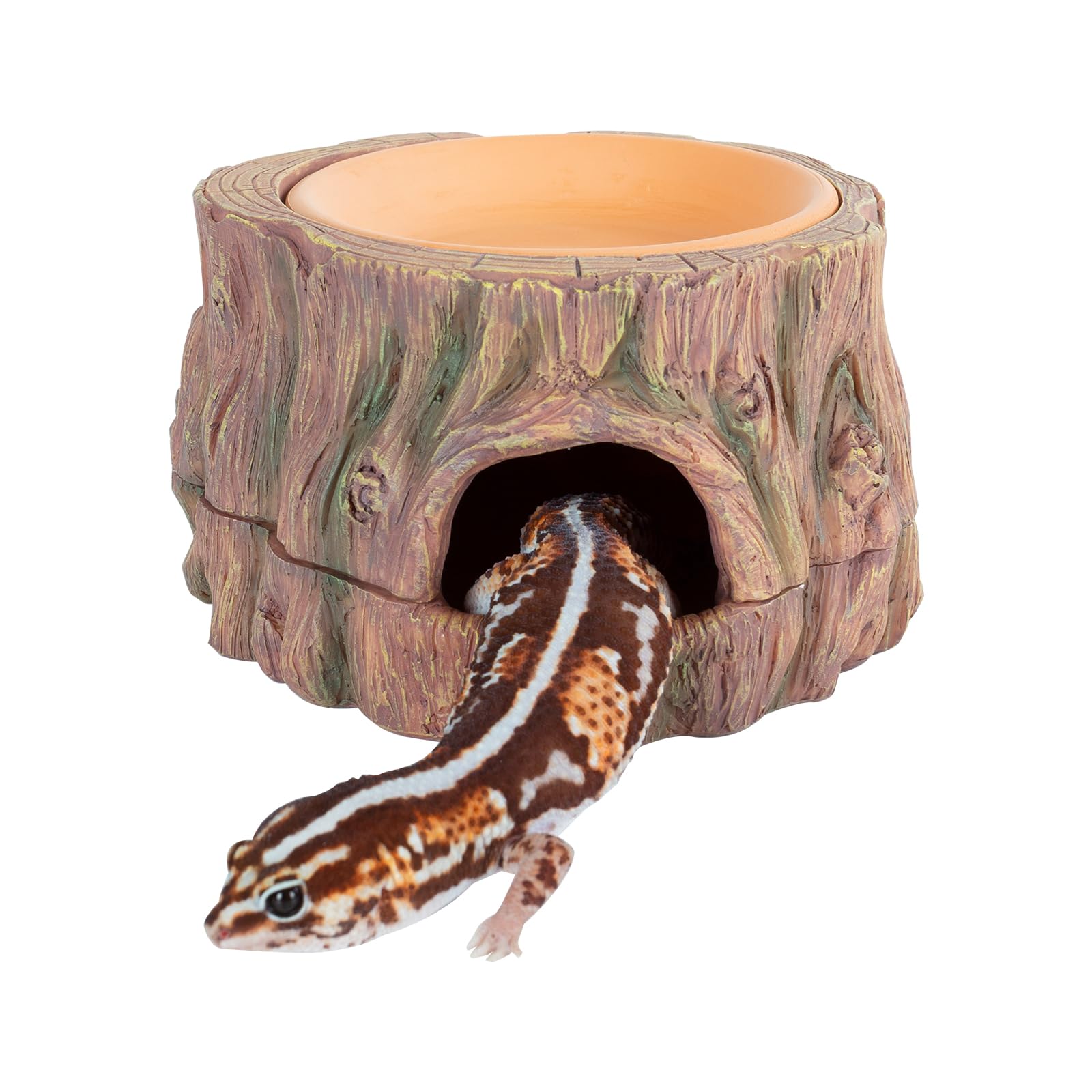 CAVACHEW caverne-reptile-arbre 3 en 1: cachette sûre et naturelle