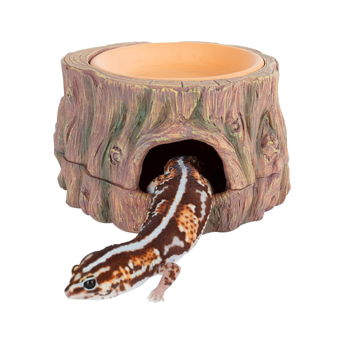 CAVACHEW caverne-reptile-arbre 3 en 1: cachette sûre et naturelle
