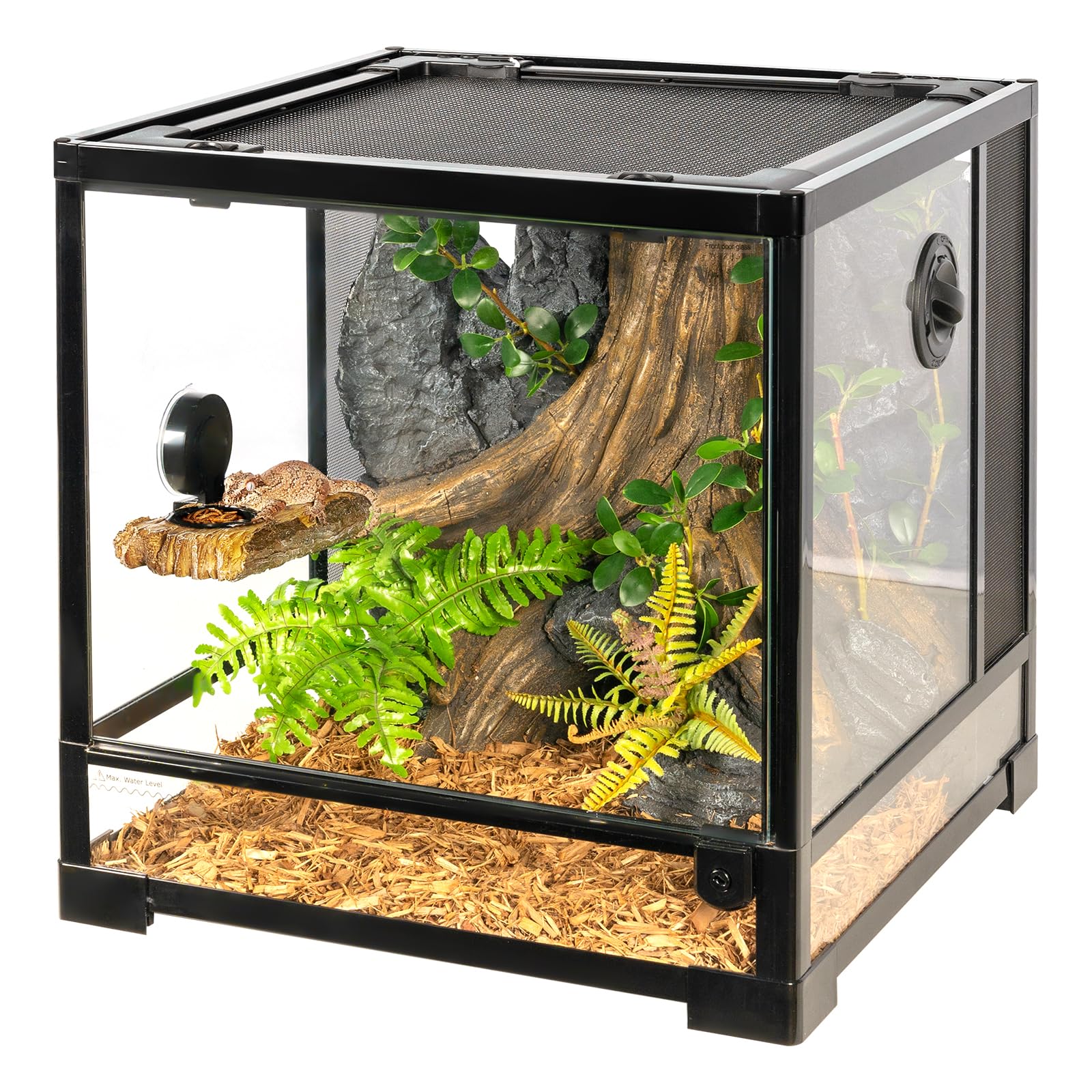 Installation terrarium: montage rapide et adhérence fiable.