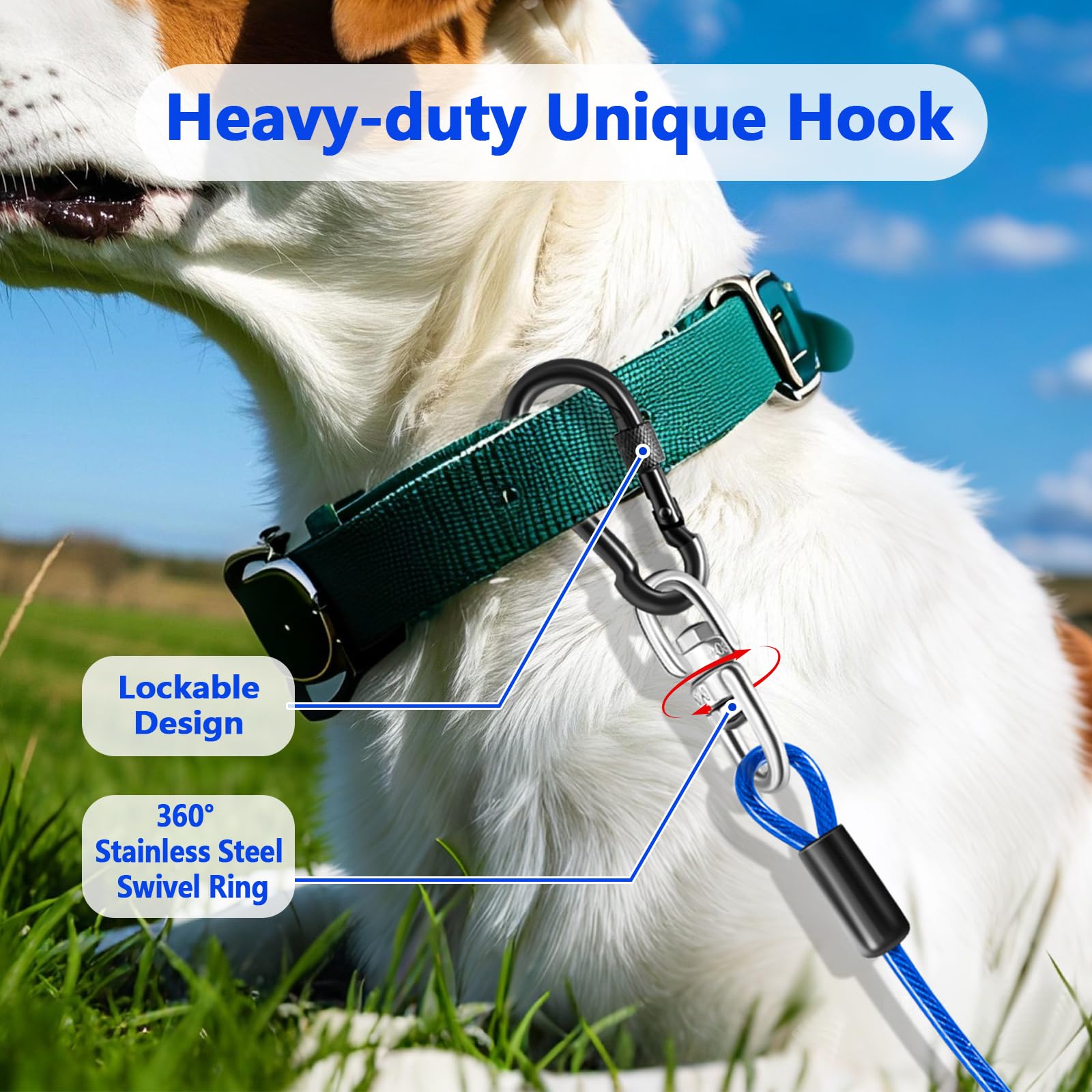 Cawhulf rotule-inox 360 degrés offre rotation fluide et liberté du chien.