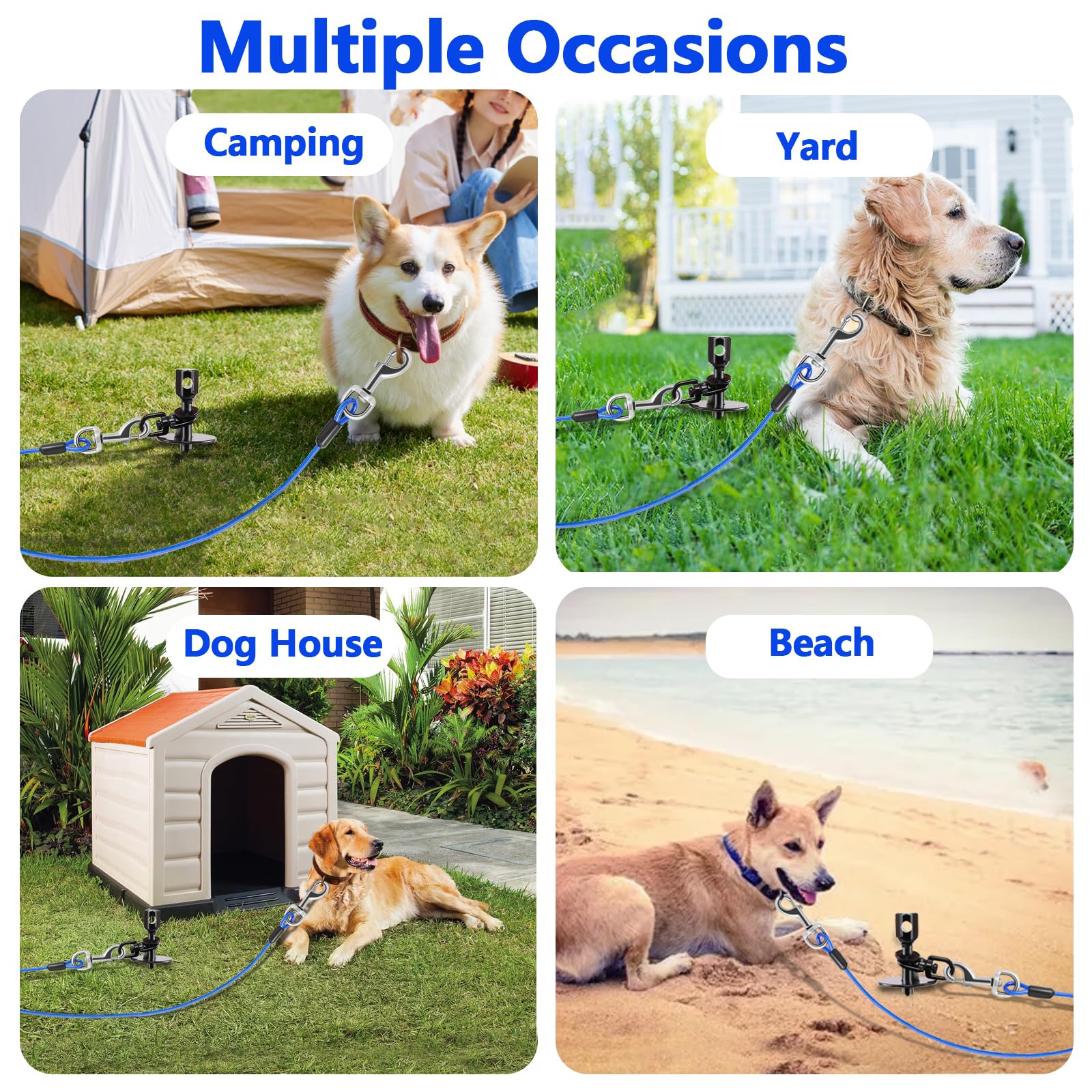Solution de sécurité pour chien de cawhulf, zone libre et sûre.