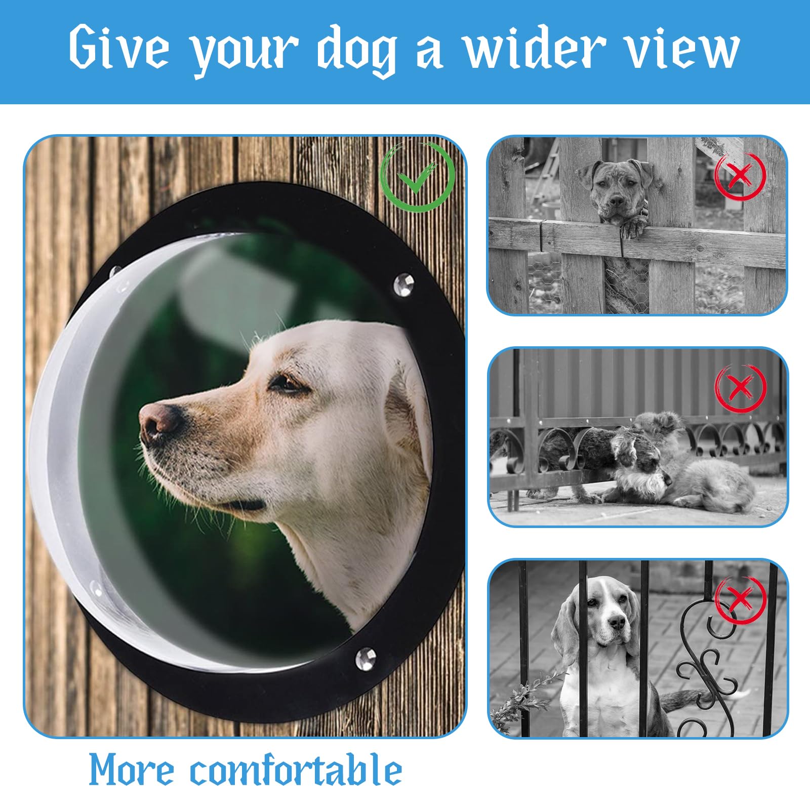 CAWUWE vue extérieure pour chats et chiens, stimuler l'observation en sécurité