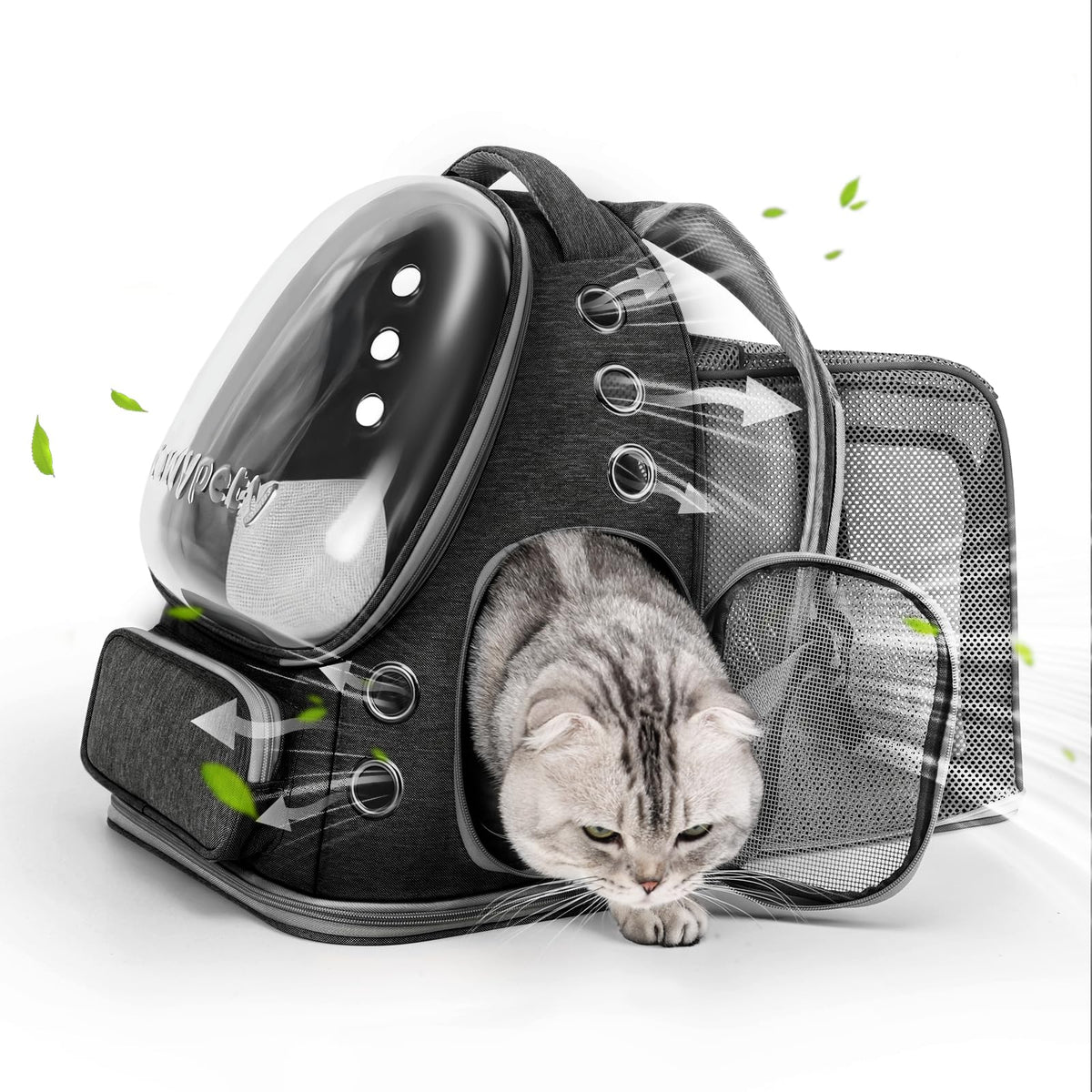Cawypety sac à dos chat extensible avec bulle frontale, idéale pour voyager en sécurité.