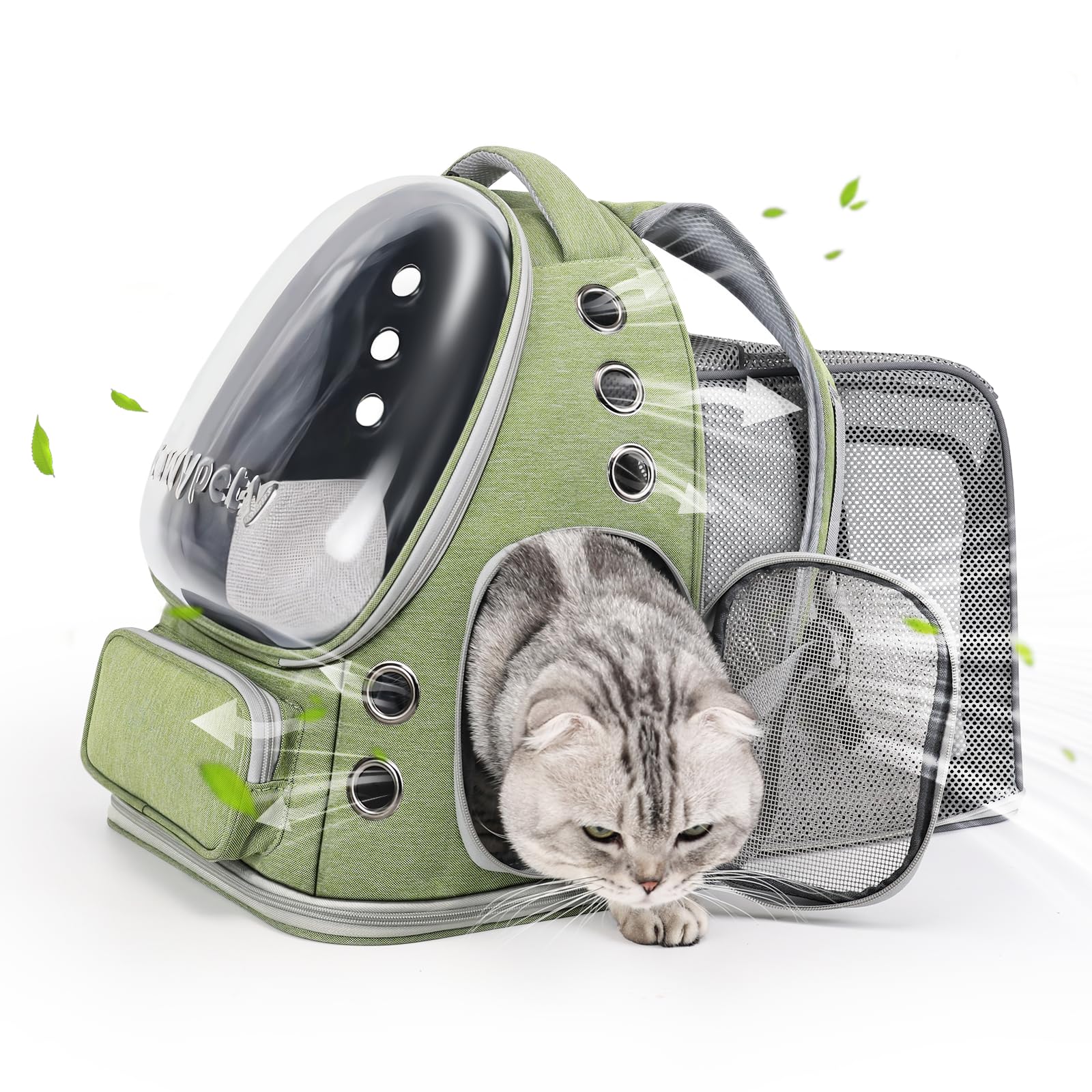 Cawypety sac-chat extensible avec fenêtre-bulle pour une vue captivante.