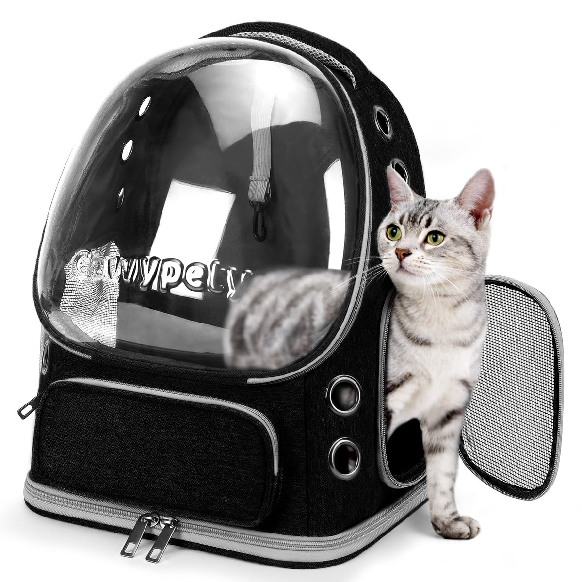 Sac Cawypety pour chat avec bulle transparente, idéale pour séjour en plein air.