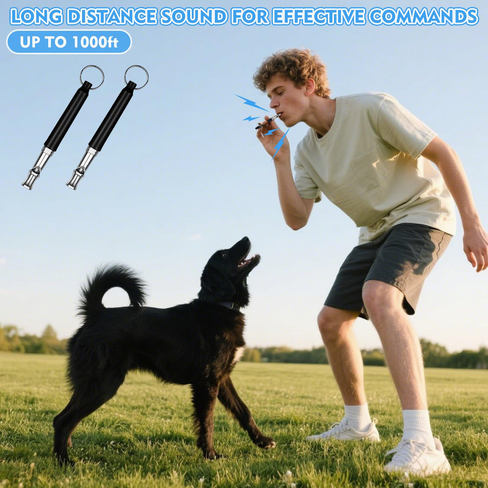 Sifflet universel CdbC pour chiens de tous âges, noir avec lanière.