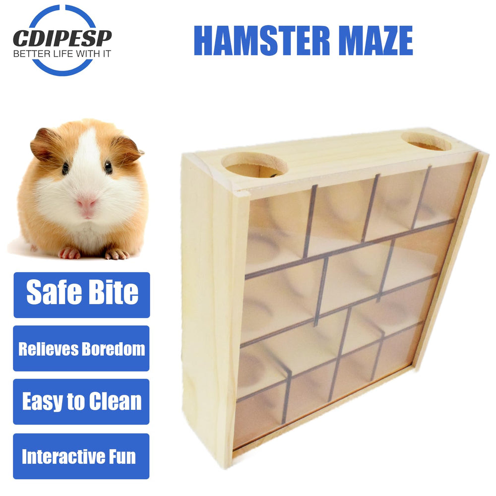 Cdipesp couvercle acrylique transparent pour observer sans blessure.